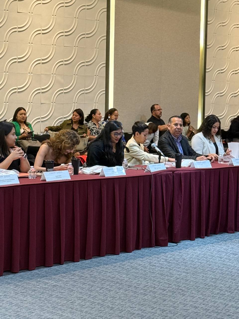 Tlaxcalteca de 11 años se suma al Consejo Nacional de Sipinna